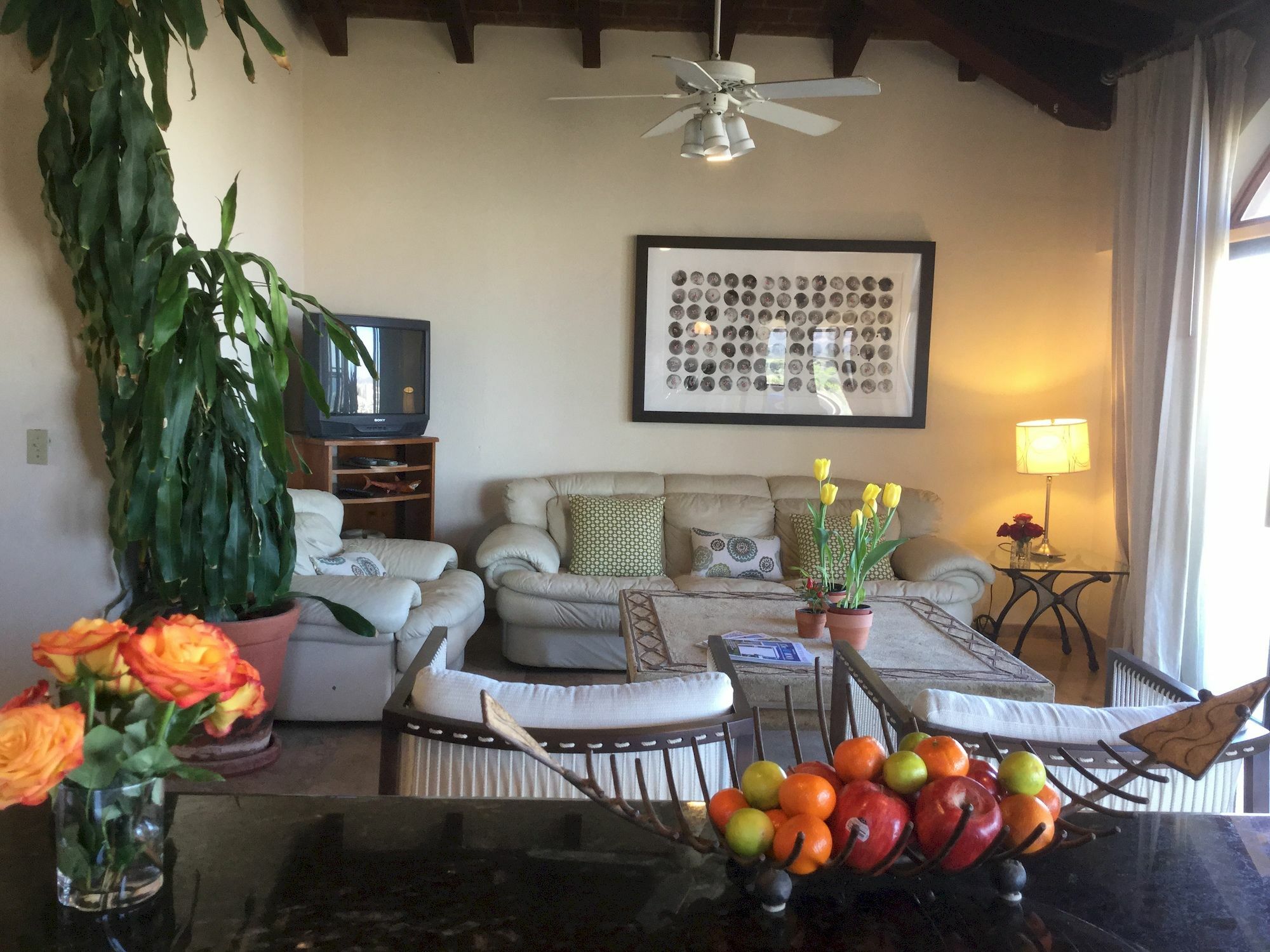 Sunrise Cove Luxury Penthouse Leilighet Cabo San Lucas Eksteriør bilde