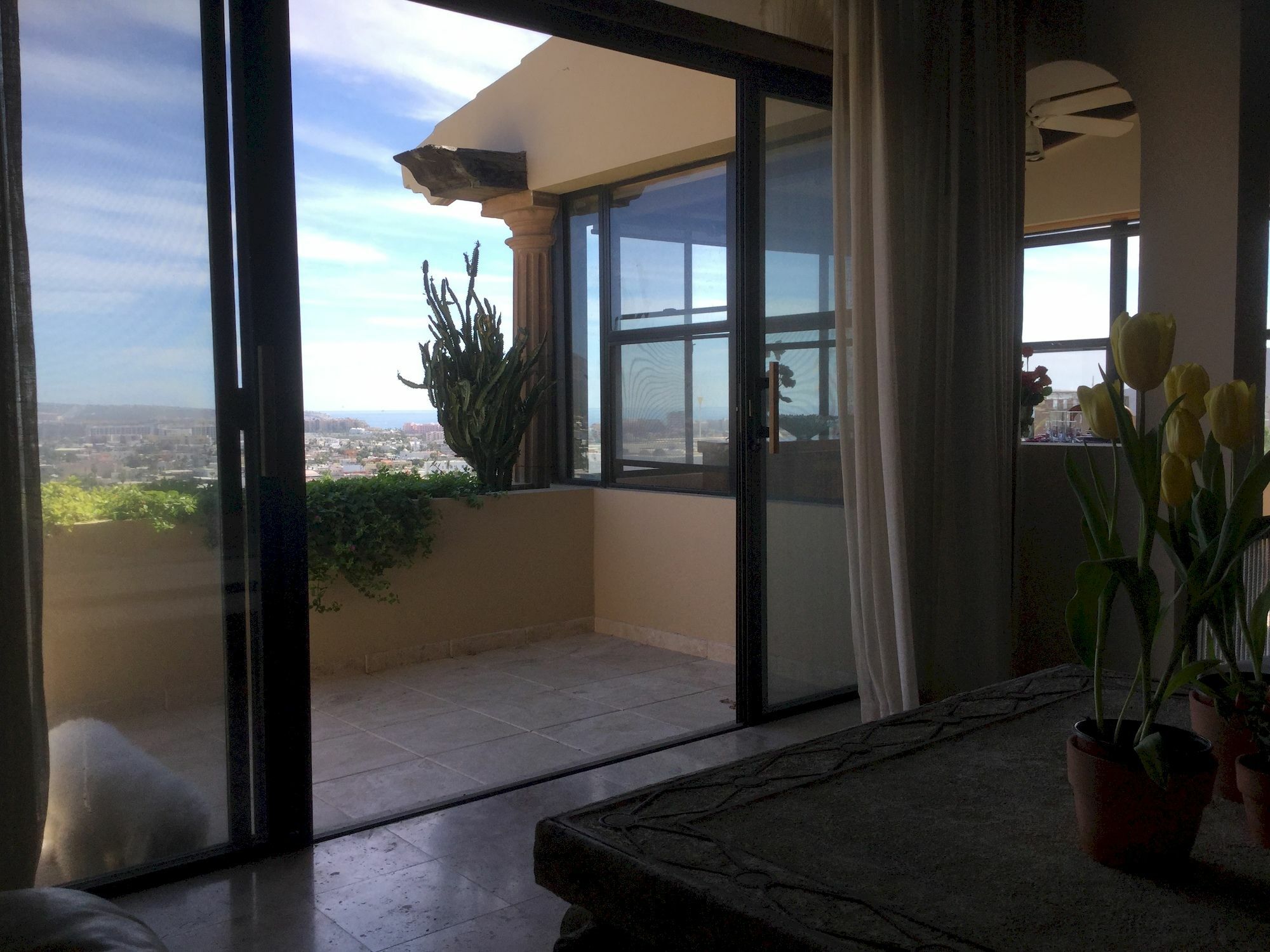 Sunrise Cove Luxury Penthouse Leilighet Cabo San Lucas Eksteriør bilde